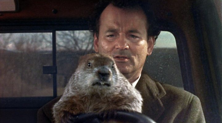 Phil Connors and Groundhog Phil